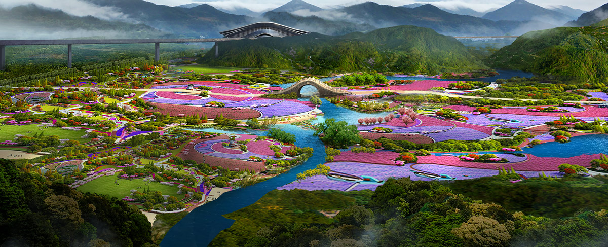 花海鸟瞰图