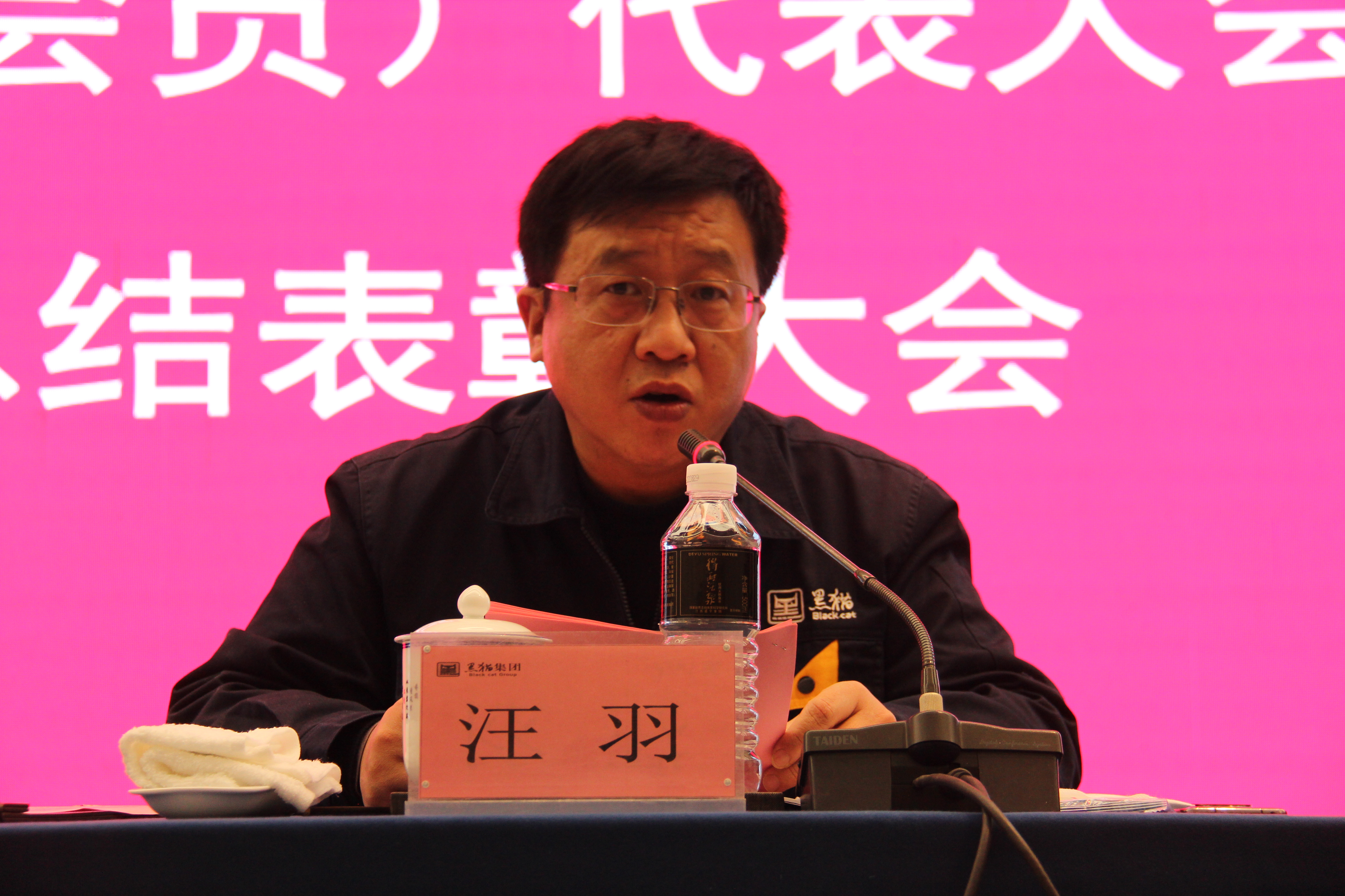 太阳成集团tyc138集团党委副书记、总经理汪羽发言 (2).JPG