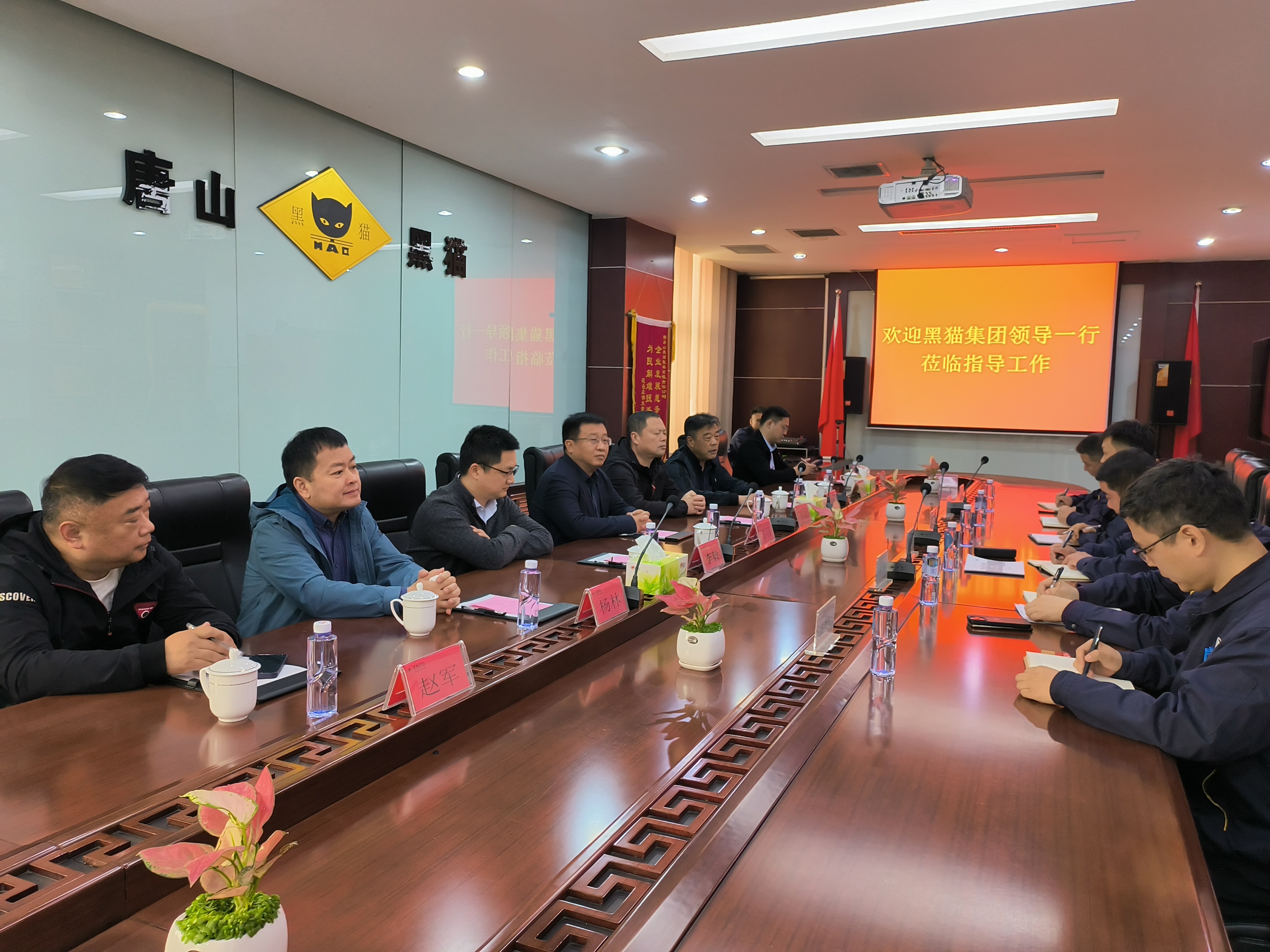 汪羽一行到唐山太阳成集团tyc138调研指导工作 (4).jpg